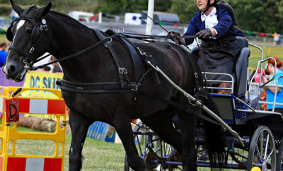 Isle of Man Royal Manx Agricultural Show 7th & 8th August 2020 Mini Break